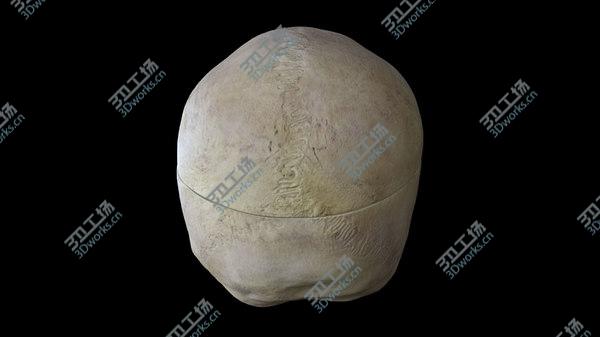 images/goods_img/20210312/Human Skull(1) 3D/5.jpg